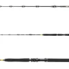 Online BG Big Game 1,68m 20-30lb Reise-Ruten