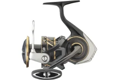23 Caldia SW 6000D-H Rollen