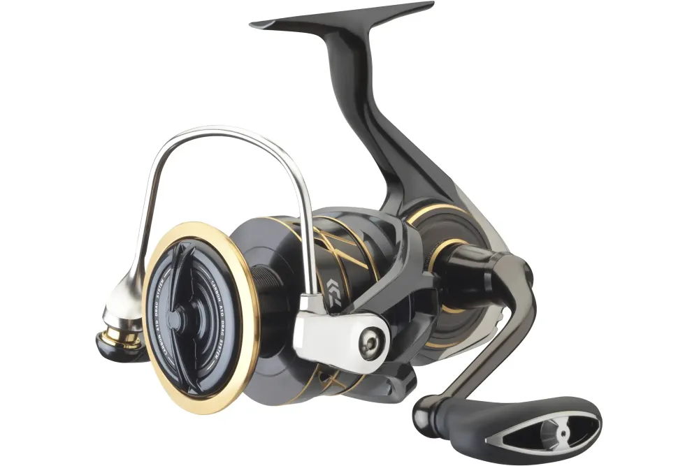 23 Caldia SW 6000D-H Rollen