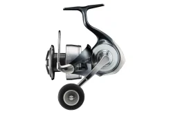 Hot 24 Certate(G) LT 5000D Rollen