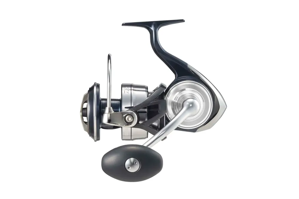 Discount 21 Certate SW (G) 8000-P Rollen