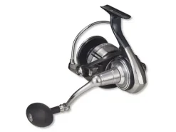 21 Certate SW (G) 10000-P Rollen