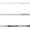 Sale Prorex S Spin 2,70m 30-70g Spinn-Ruten