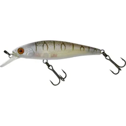 Discount Squad Minnow 65 SP Agressive Perch Hardbaits