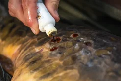 Discount Propolis Carp Treatment Tools & Werkzeuge