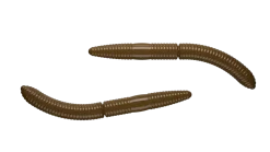 New Fatty D'Worm 65 Cheese 6,5cm 001 - white Futter & Lockstoffe|Gummiköder