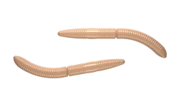 Outlet Fatty D'Worm 75 Cheese 7,5cm 001 - white Futter & Lockstoffe|Meeresköder