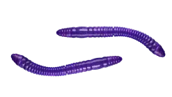Outlet Fatty D'Worm Tournament 55 Cheese 5,5cm 000 - glow uv green Futter & Lockstoffe|Gummiköder