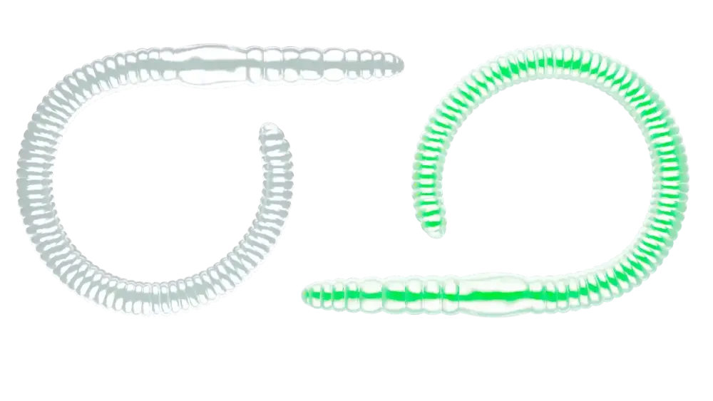 Flex Worm 95 Cheese 9,5cm 000 - glow uv green Gummiköder|Schuhe & Stiefel