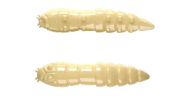 Discount Kukolka 42 Knoblauch 4,2cm 001 - white Futter & Lockstoffe