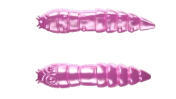 Discount Kukolka 42 Knoblauch 4,2cm 001 - white Futter & Lockstoffe