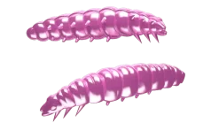 Best Larva 45 Cheese 4,5cm 001 - white Futter & Lockstoffe