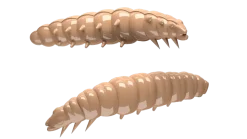 Sale Larva 30 Knoblauch 3cm 001 - white Gummiköder|Futter & Lockstoffe