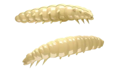 Sale Larva 30 Knoblauch 3cm 001 - white Gummiköder|Futter & Lockstoffe