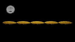 Hot Larva Multi 25 -5x5 Cheese 2,5cm 001 - white Stippen