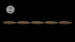 Hot Larva Multi 25 -5x5 Cheese 2,5cm 001 - white Stippen