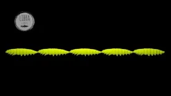 Hot Larva Multi 25 -5x5 Cheese 2,5cm 001 - white Stippen