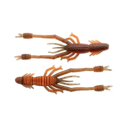 Ring Shrimp 4