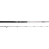 Hot Salty Beast Solidz 2,4m 0-250g Spinn-Ruten