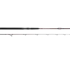 Hot Salty Beast Solidz 2,4m 0-250g Spinn-Ruten