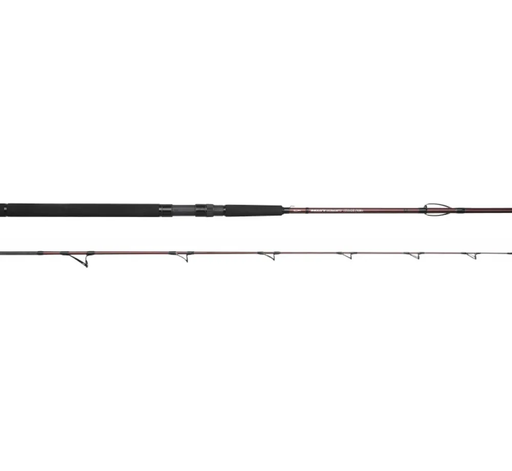 Hot Salty Beast Solidz 2,4m 0-250g Spinn-Ruten