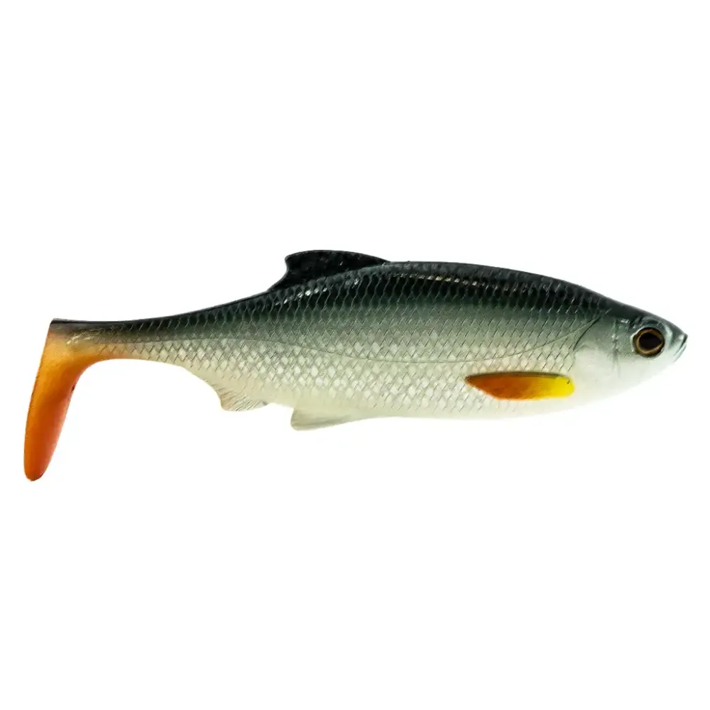 Best Ricky The Roach Shadtail AJ Sonderfarbe 18cm Bodden Belly Gummiköder