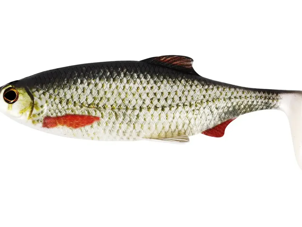 Sale Ricky the Roach Shadtail 14cm Real Roach Gummiköder