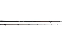 Best W4 Powercast 2nd XH 2,40m 60-180g Spinn-Ruten