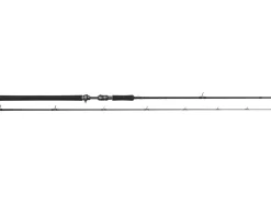Outlet W3 Powercast-T 3RD XXH 2,51m 40-130g Baitcast-Ruten