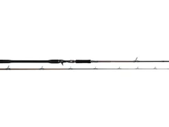 W4 Powershad-T 2nd 3XH 2,55m 60-180g Baitcast-Ruten